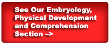 Embryology